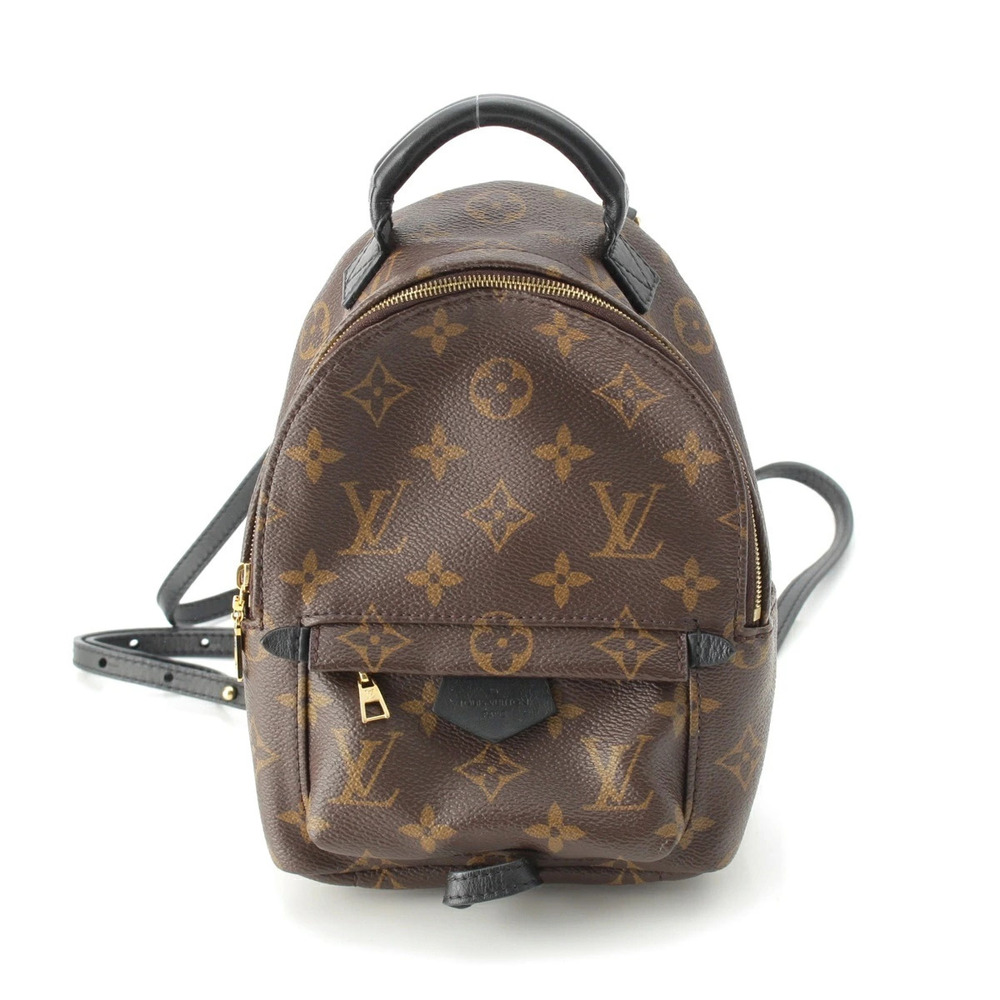 Louis Vuitton Monogram Palm Springs Backpack Daypack Brown